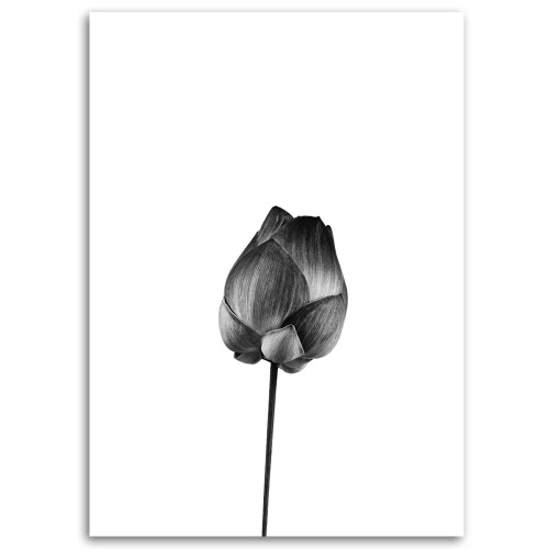 Obraz na plátně Černobílý květ