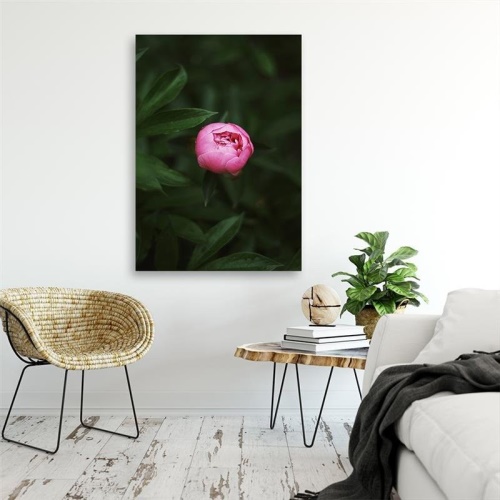 Obraz na plátně Růžový květ Bud Příroda