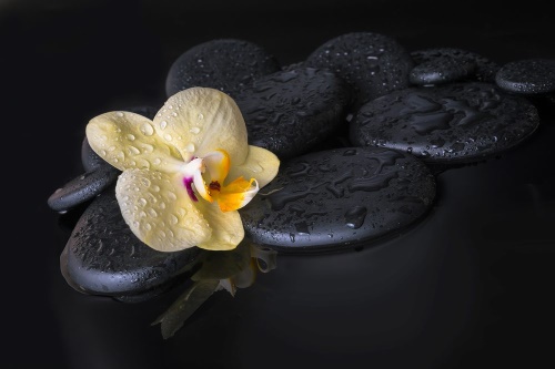 Samolepící fototapeta Zen kameny se žlutou orchidejí