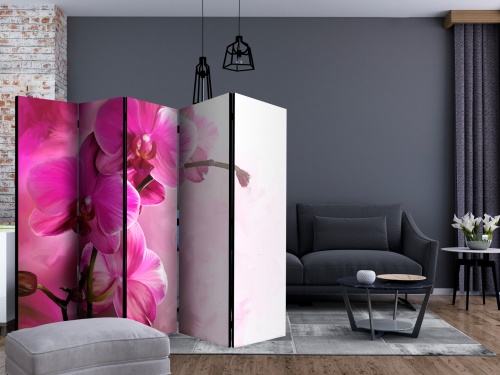 Paraván - Pink Orchid II [Room Dividers]
