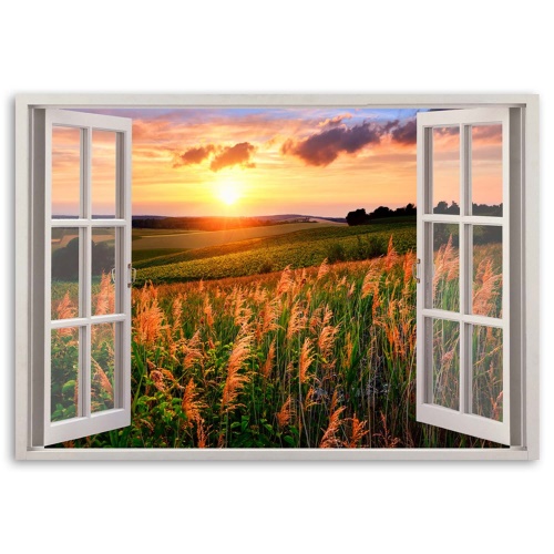 Obraz na plátně Výhled z okna na západ slunce květiny