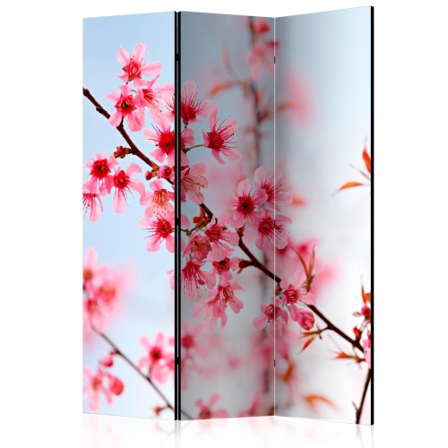 Paraván - Symbol of Japan - sakura flowers [Room Dividers]