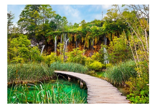 Fototapeta - Green oasis