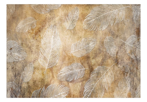 Fototapeta - Flying Feathers