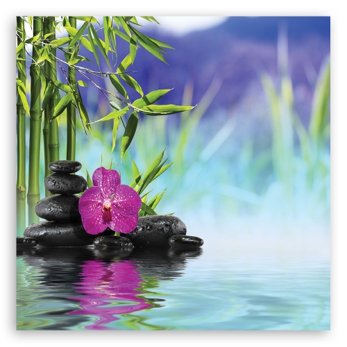 Obraz na plátně, Kameny na vodě zen