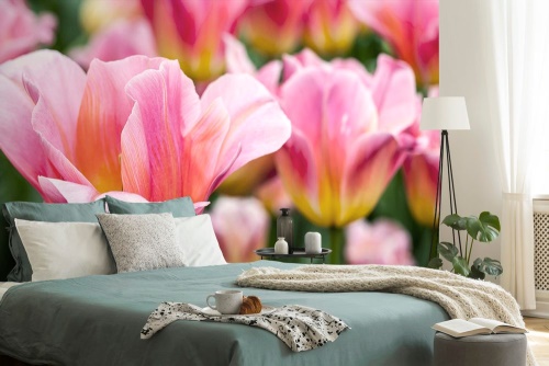 Samolepící fototapeta louka růžových tulipánů