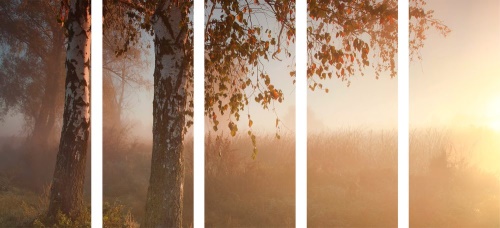 5-dílný obraz mlhavý podzimní les