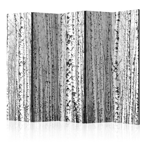 Paraván - Birch forest II [Room Dividers]