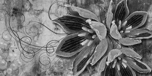 Obraz květiny s perlami v černobílém provedení