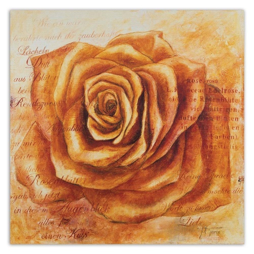 Obraz na plátně Rose Flower Orange