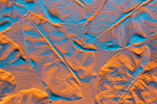 Obraz textura listů na písečné pláži
