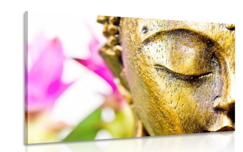 Obraz zlatá tvář Budhu
