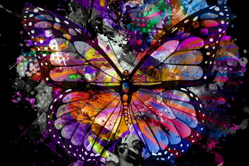 Obraz neobyčejný motýl