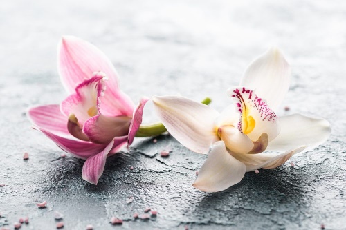 Samolepící fototapeta květiny orchideje