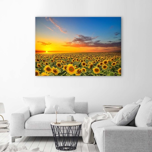 Obraz na plátně Slunečnice Květiny Západ slunce