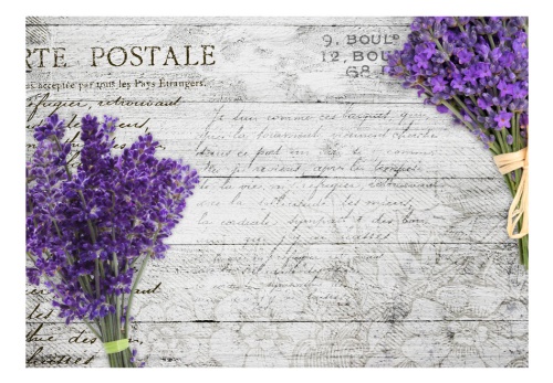 Fototapeta - Lavender postcard