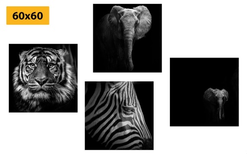 Set obrazů zvířata v černobílém stylu