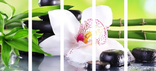 5-dílný obraz japonská orchidej