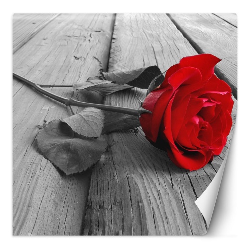 Fototapeta, Červené květy růží Dřevěná tyč