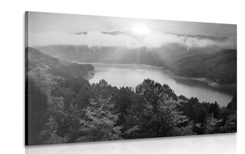 Obraz řeka uprosted lesa v černobílém provedení