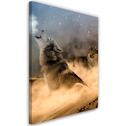 Obraz na plátně Vlk Mlha Zvířata Příroda