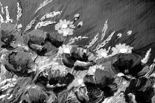 Obraz malované polní máky v černobílém provedení