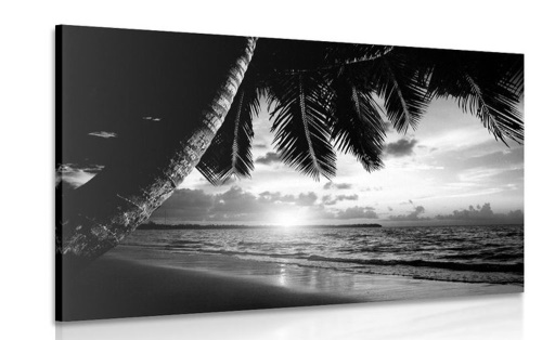 Obraz východ slunce na karibské pláži v černobílém provedení