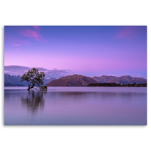 Obraz na plátně Tree Lake Purple