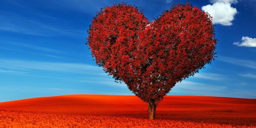 Obraz nádherný strom ve tvaru srdce
