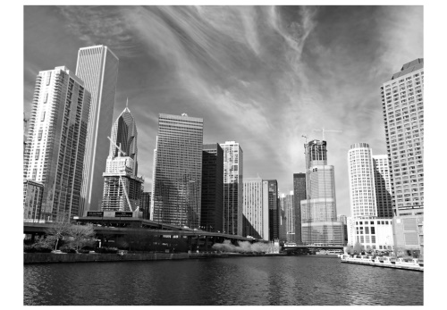 Fototapeta - Chicago skyline (black and white)