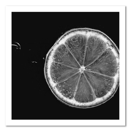 Obraz na plátně Černá Bílá Lemon