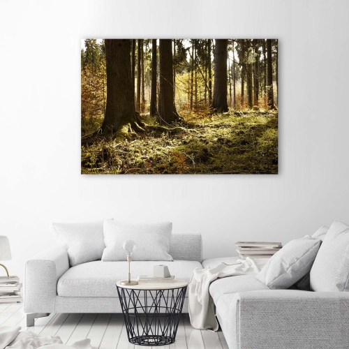 Obraz na plátně Lesní krajina Příroda