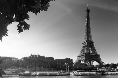 Obraz podzimní Paříž v černobílém provedení