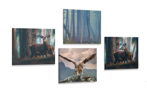 Set obrazů zákoutí lesa