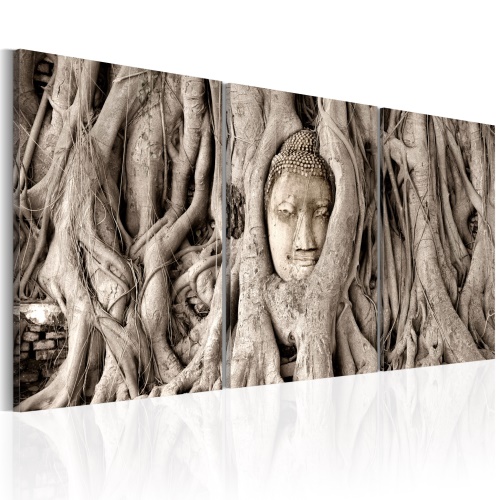 Obraz - Meditation's Tree