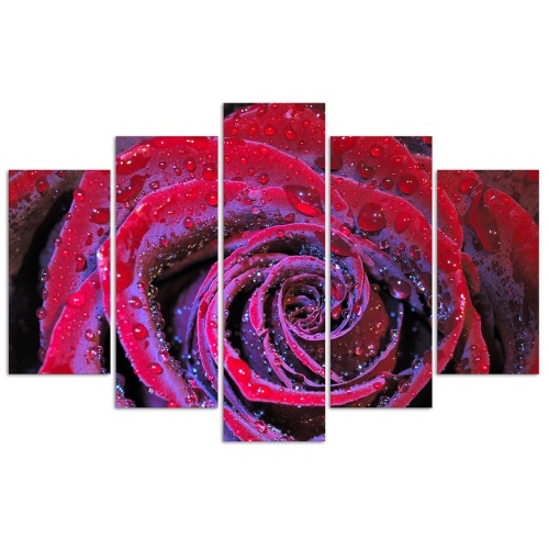 Obraz na plátně pětidílný Červená růžová květina