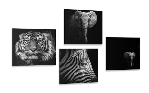 Set obrazů zvířata v černobílém stylu