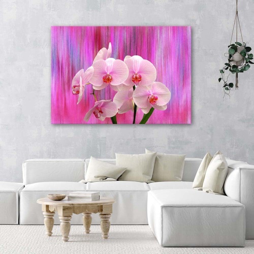 Obraz na plátně Orchidej růžová Přírodní rostliny