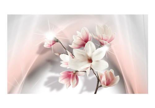 Fototapeta XXL - White Magnolias II