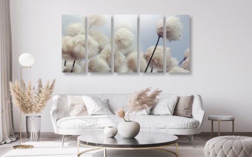 5-dílný obraz arktické květiny bavlny
