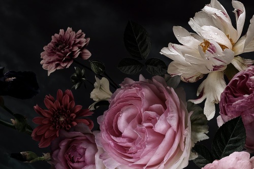 Samolepící fototapeta kytice květin v detailním záběru