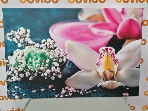 Obraz nádherná detailní orchidej