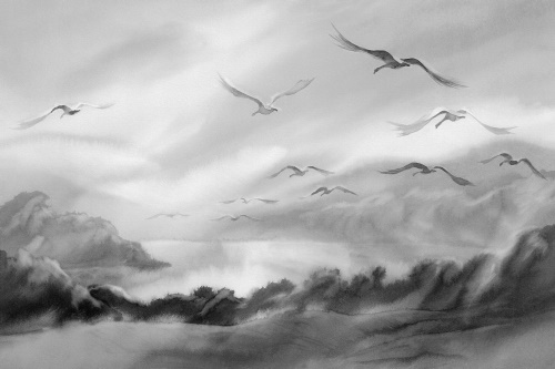 Tapeta ptáci na obloze v černobílém provedení