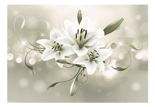 Fototapeta - Lily - Flower of Masters