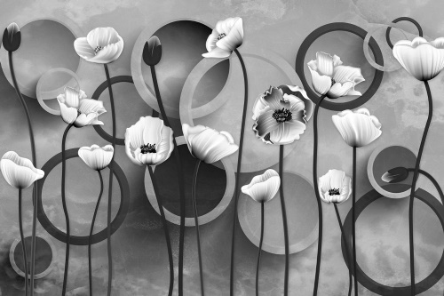 Tapeta květy s kruhy v černobílém provedení
