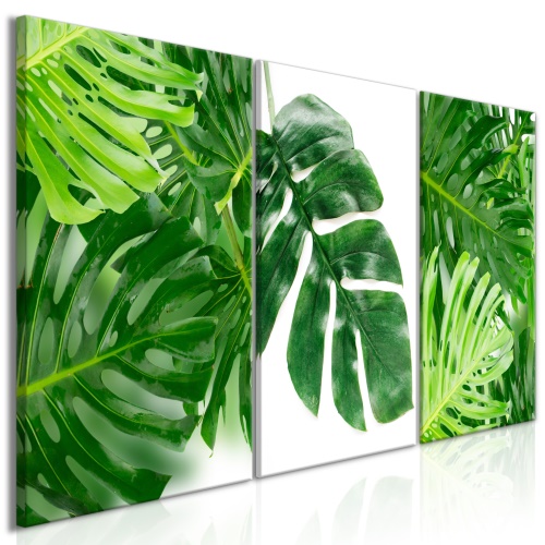 Obraz - Palm Leaves (3 Parts)