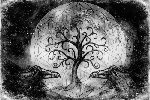 Tapeta magický strom života v černobílém provedení